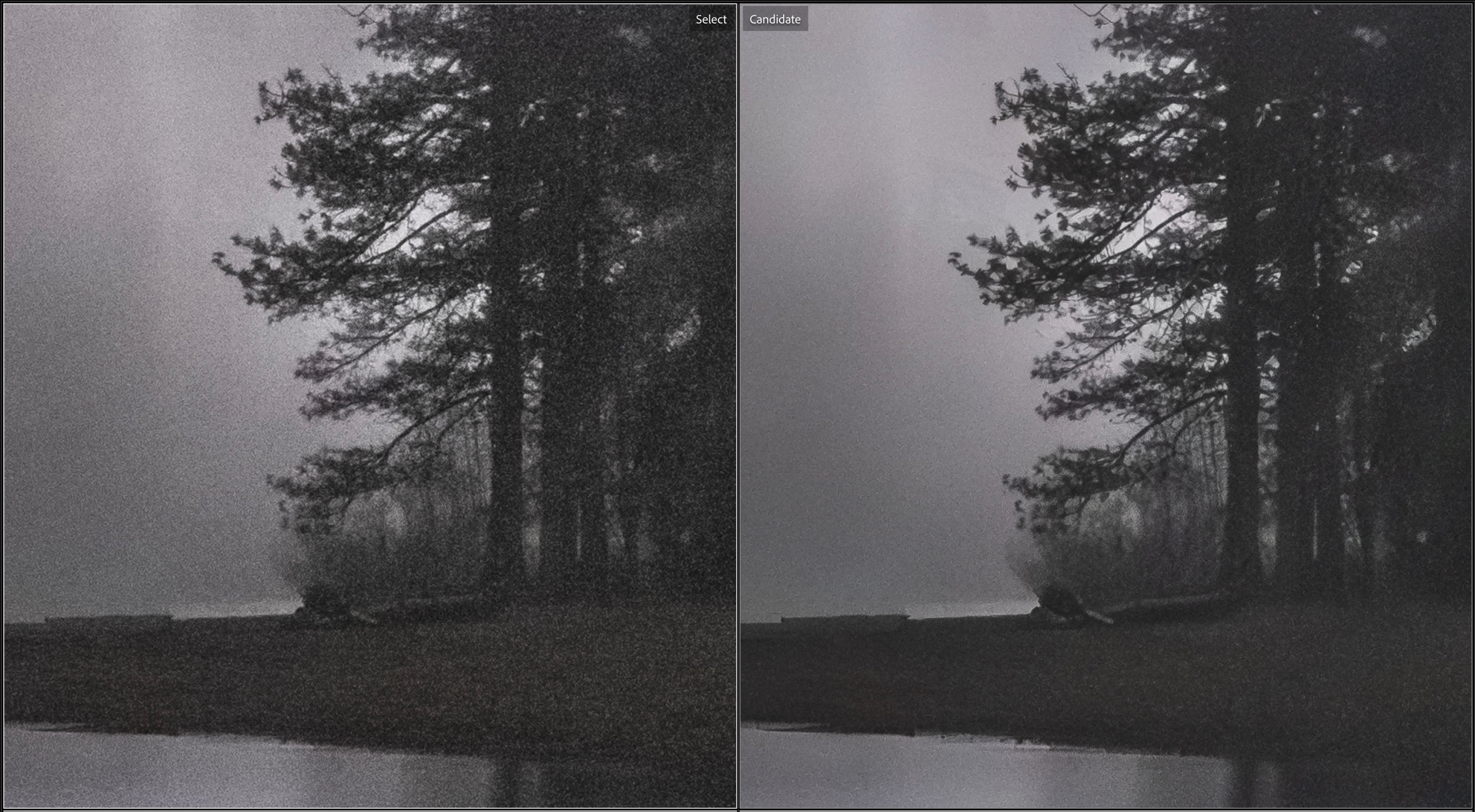 Lightroom adds AI denoise to make old photos look like new