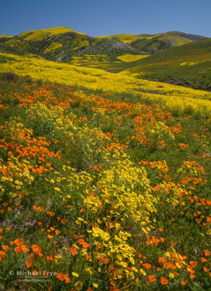 The Painted Hills : Michael Frye Photography