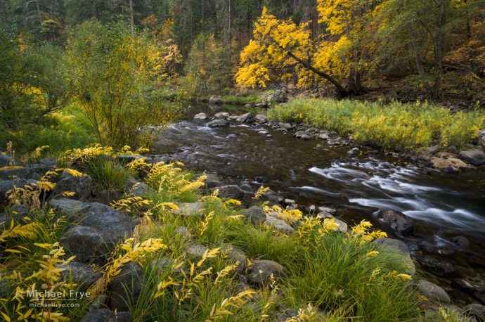 Autumn along the Merced River, Yosemite NP, CA, USA