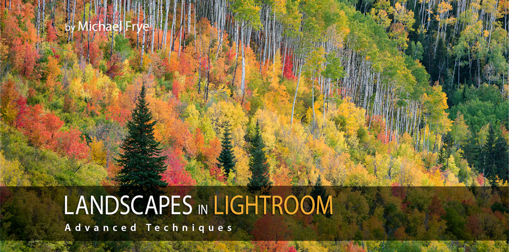 enhancing a landscape photo with lightroom online courses