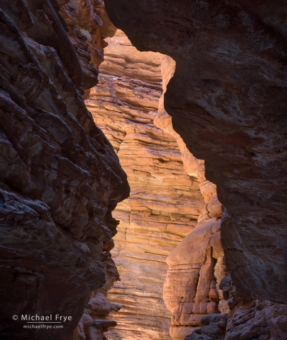 Reflected light in a sandstone side canyon, Grand Canyon NP, AZ, USA