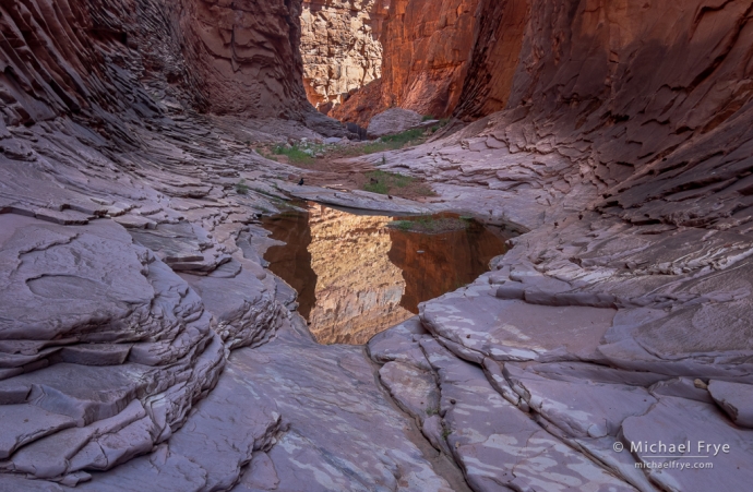 Pool and reflections, Grand Canyon NP, AZ, USA