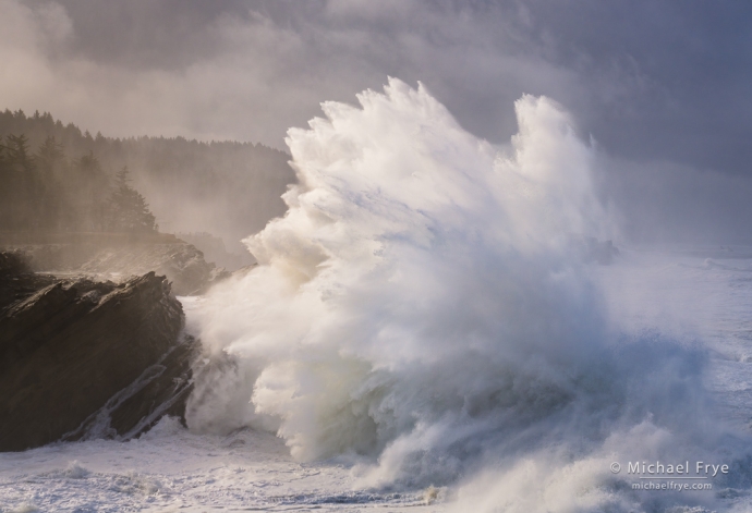 Crashing wave on a foggy morning, Oregon Coast, USA