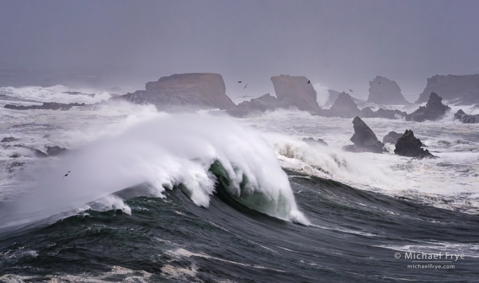 Waves, rocks, and gulls, Oregon Coast, USA