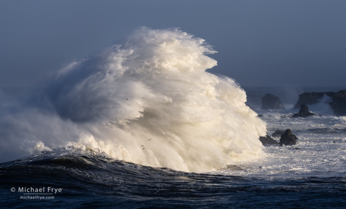 Breaking wave, Oregon Coast, USA