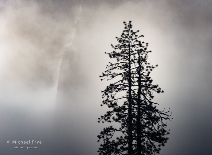 10. Pines, mist, and Lower Cathedral Rock, Yosemite NP, CA, USA