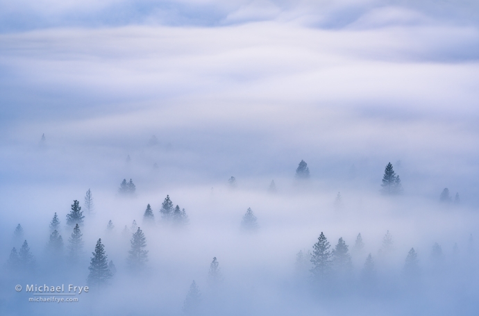 2. Trees and waves of fog, Yosemite NP, California