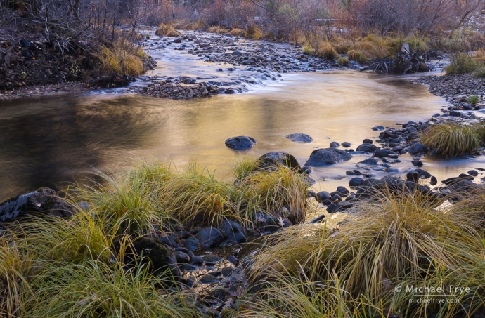 Reflections in the Merced River, Yosemite NP, CA, USA