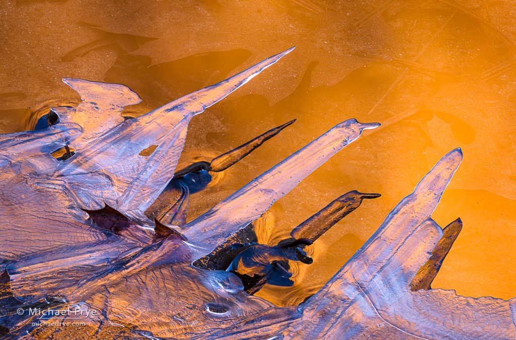 Yosemite Ice