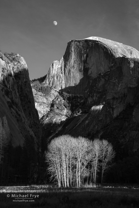 38. Moon, Half Dome, and cottonwood trees, Yosemite NP, CA, USA