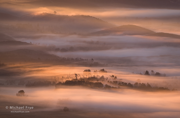 Layers of fog, sunrise, Sierra Nevada foothills, CA, USA