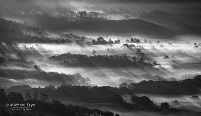 40. Fog and sunbeams, Sierra Nevada foothills, CA, USA