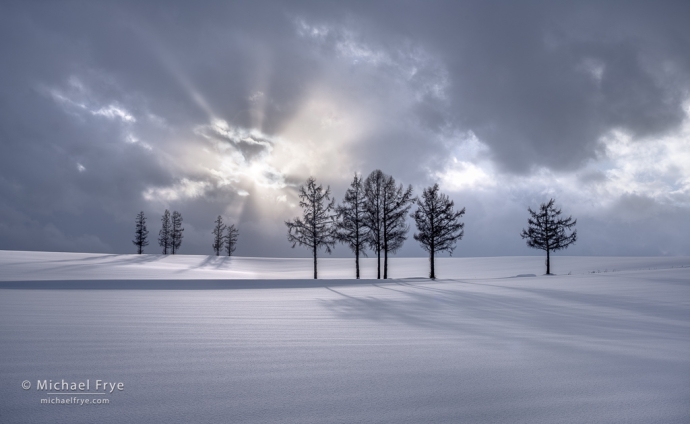 Snow, trees, and sunbeams, Hokkaido, Japan