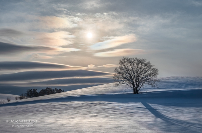 Sun, tree, snow, and cloud iridescence, Hokkaido, Japan