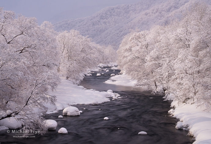 River and snow-covered trees, Hokkaido, Japan